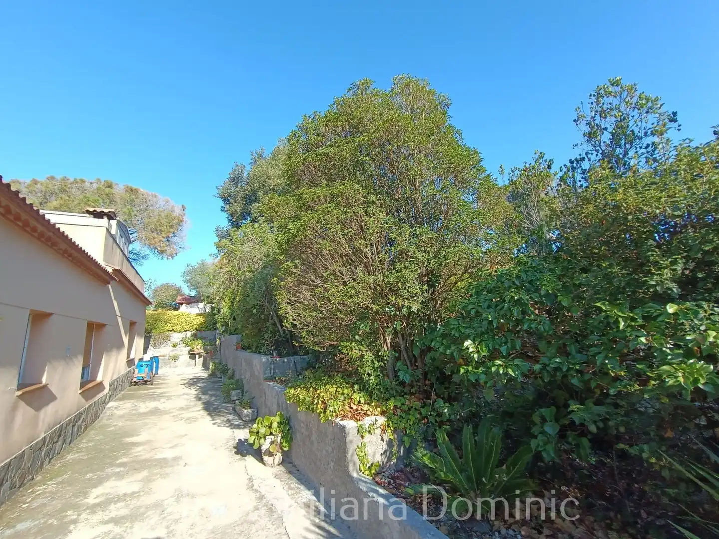 Vista exterior de Casa o xalet en venda en Maçanet de la Selva amb Aire condicionat, Calefacció i Jardí privat
