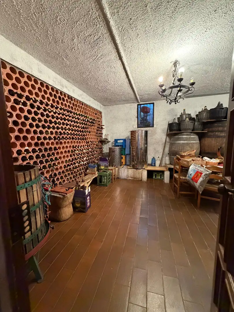 Villa con terrazza in vendita a Esgos, imagen 21