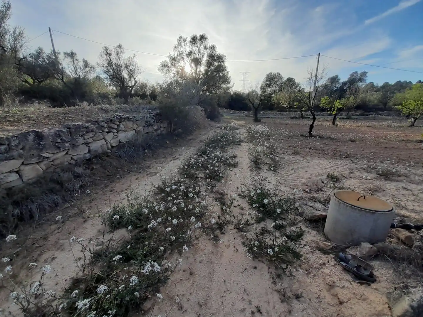 Rural land for sale in Ascó, imagen 9