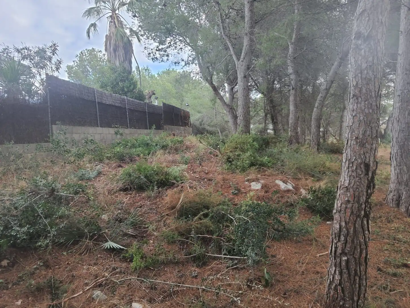 Grundstücke und Bauplätze zum Verkauf in Calafell Park, imagen 17