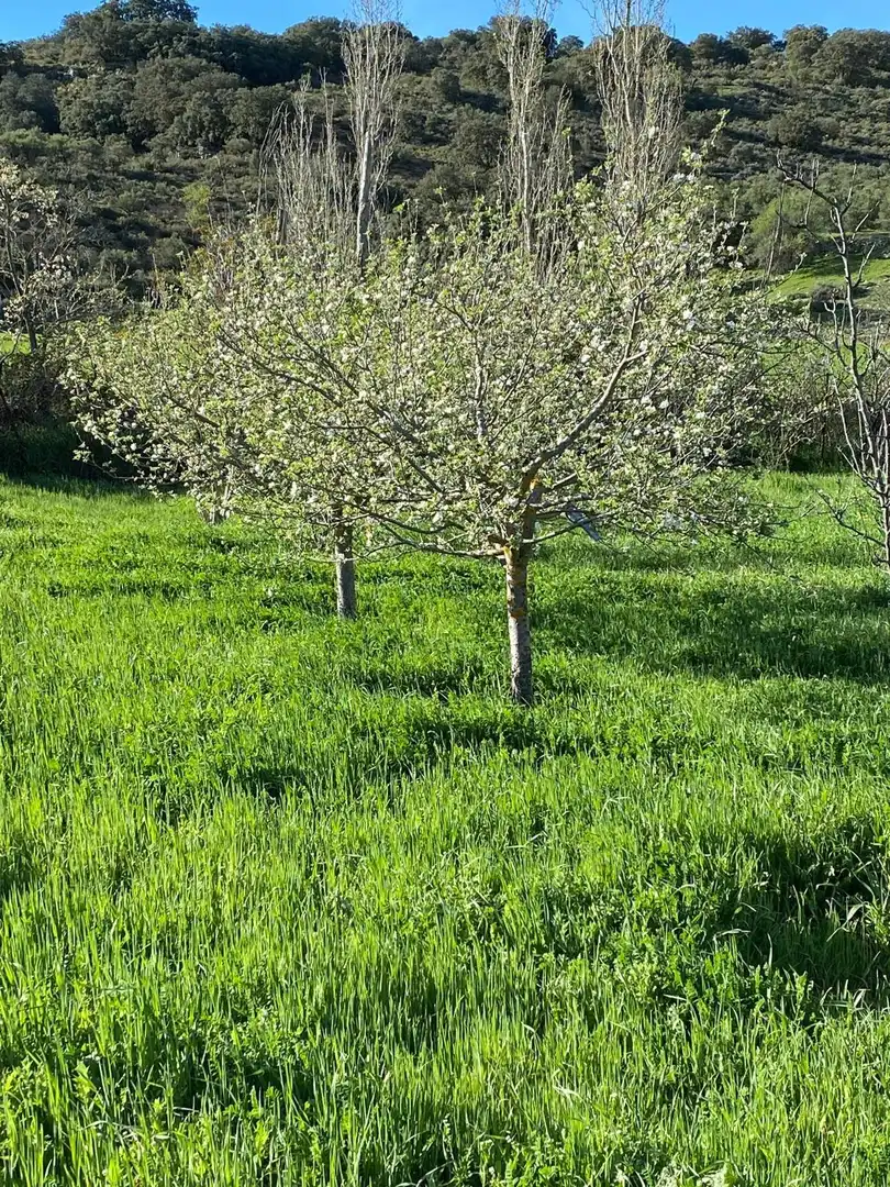 Jardín de Terreno en venta en Escopete