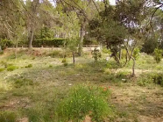 Terreno residenziale in vendita a Seva