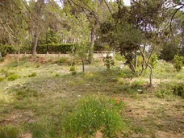 Terreno residenziale in vendita a Seva