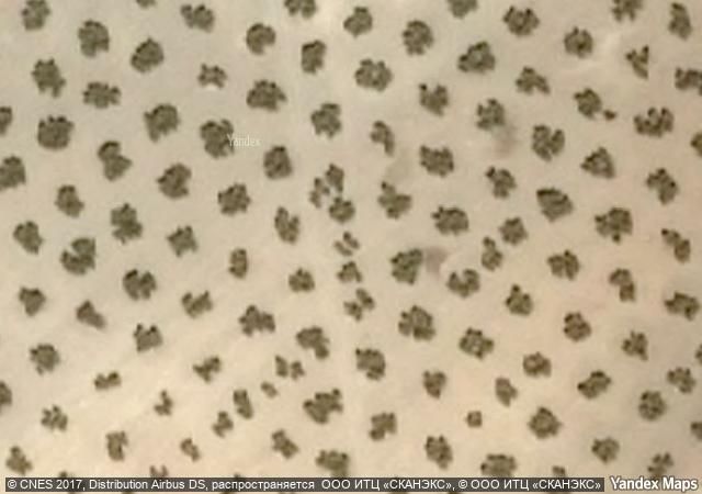 Exterior view of Country house for sale in  Jaén Capital