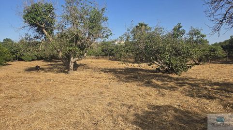 Foto 5 de Residencial en venda a Viejo de Coin, Mijas Golf, Mijas