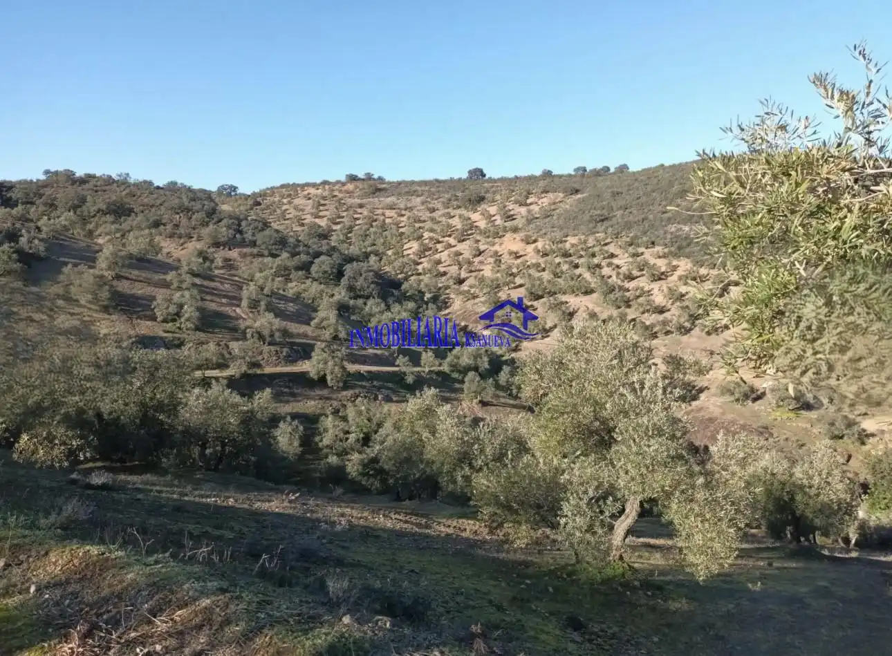 Country homes for sale in Adamuz, Córdoba