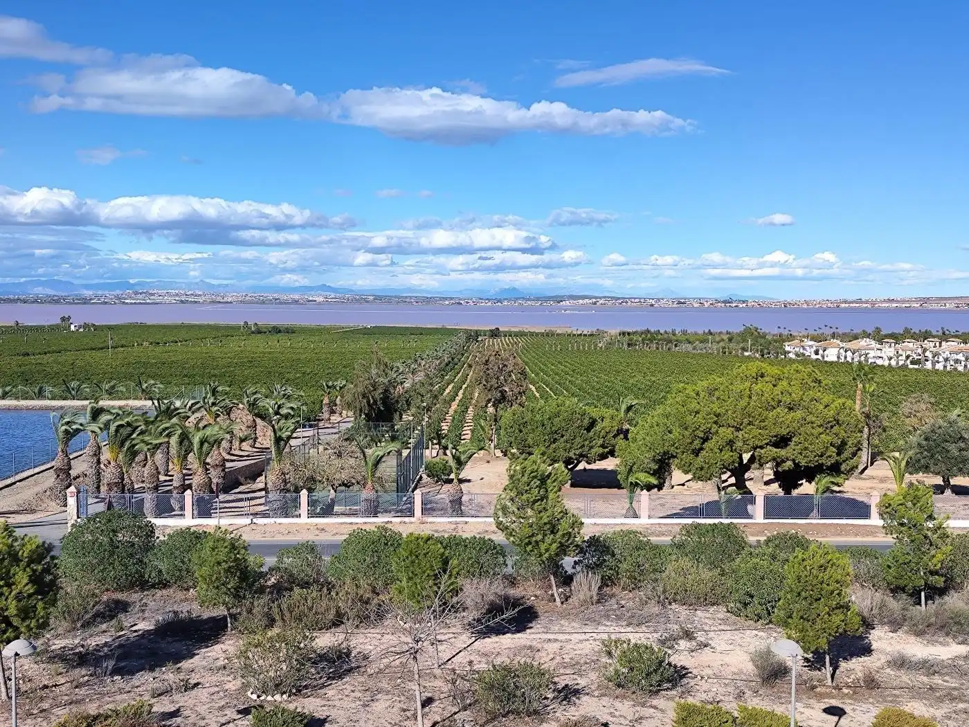 Bungalow à vendre à Los Balcones - Los Altos, imagen 40