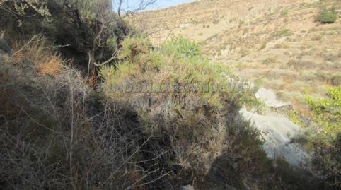Finca rustica en venta en Canjáyar, immagine 5