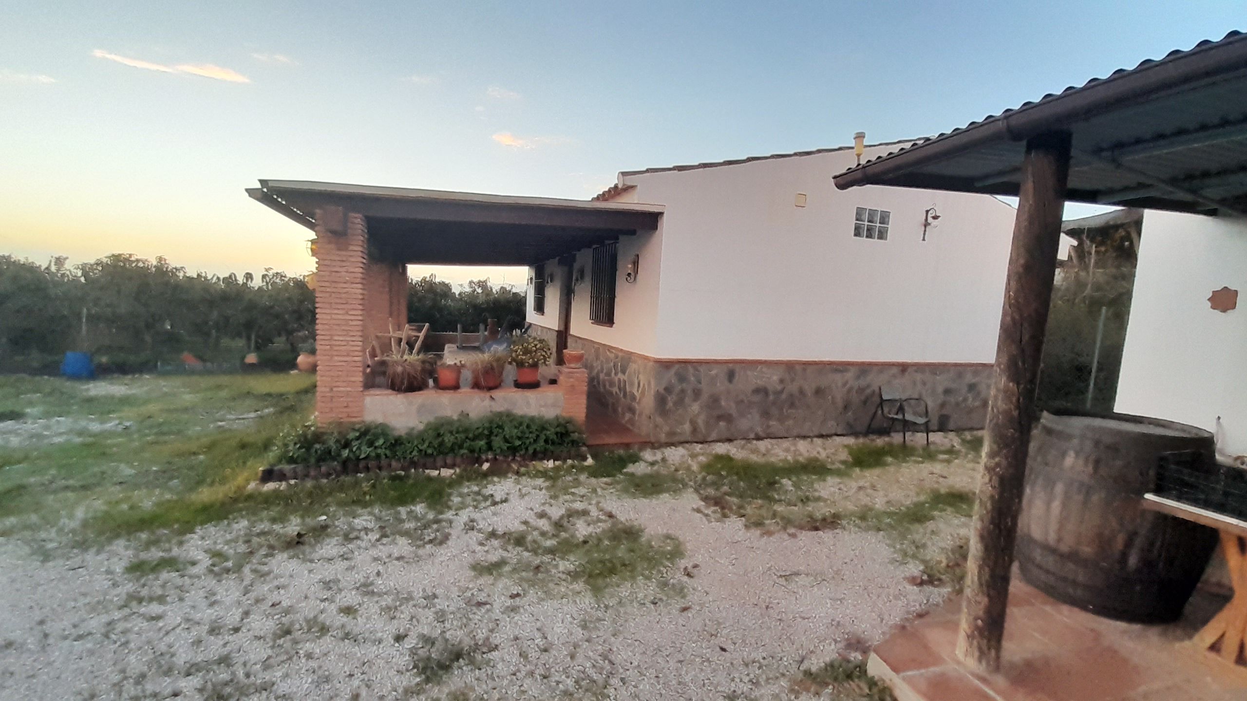 Vista exterior de Finca rústica en venda en Algarrobo amb Jardí privat, Terrassa i Traster