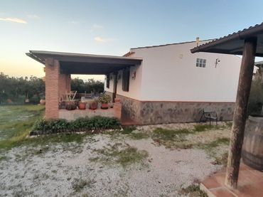 Casa rustica con giardino in vendita a Calle Manuel de Falla 4