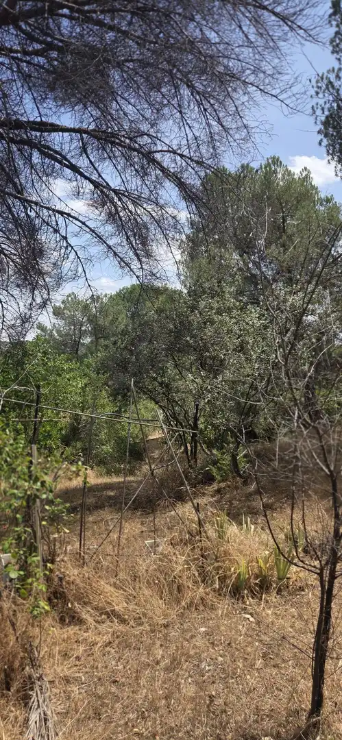 House with pool for sale in San Martín de Valdeiglesias, imagen 29