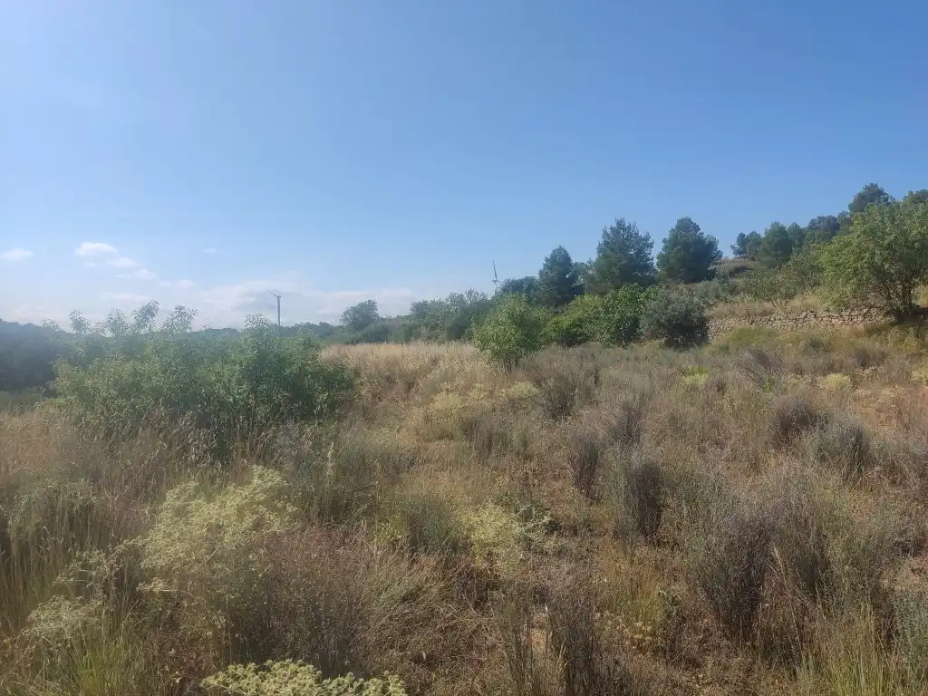 Rural land for sale in Gandesa, imagen 16