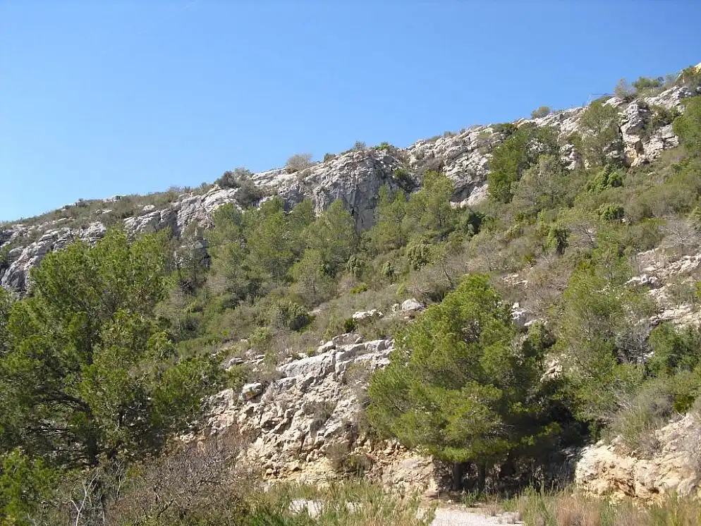 Rural land for sale in C/ Farigola, imagen 10