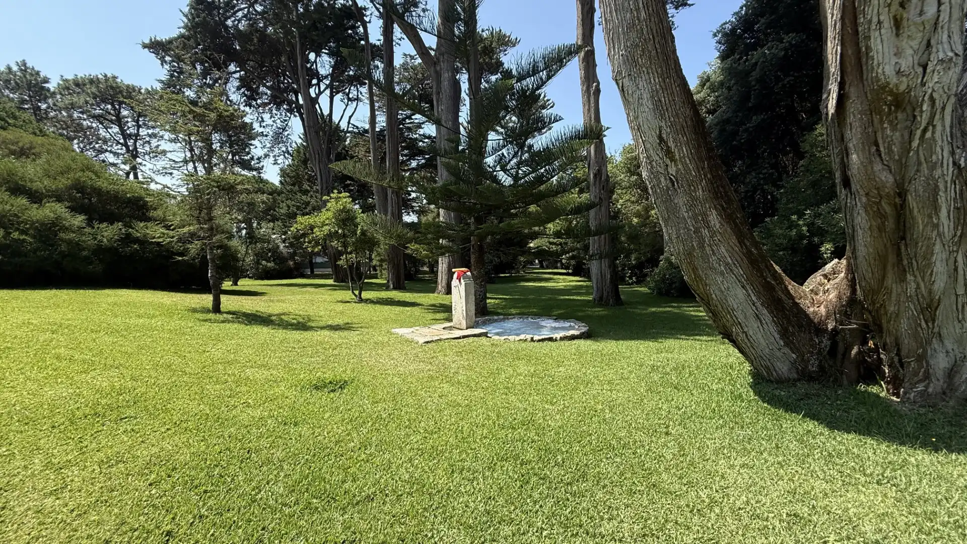 Jardín de Piso en venta en Vigo  con Calefacción, Jardín privado y Amueblado