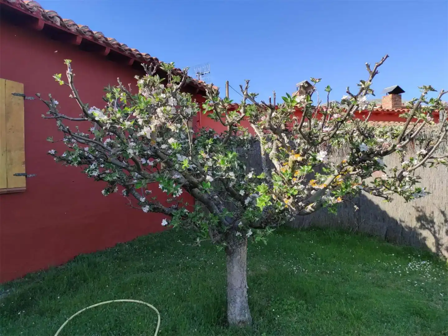 Jardí de Pis en venda en Castrejón de la Peña amb Jardí privat, Moblat i Balcó
