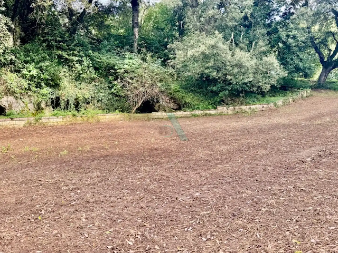 Terreno rustico in vendita a Pancar - llavandera, imagen 2