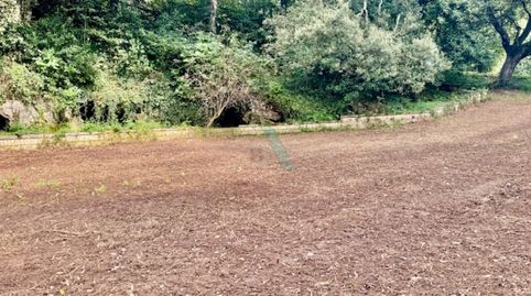 Parcela en La Llavandera, imagen 2