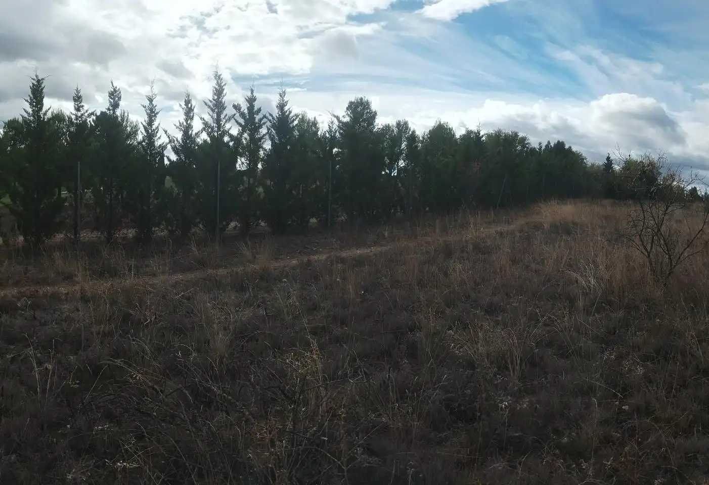 Terrenys i solars en venda a Paraje Campillo, imagen 4