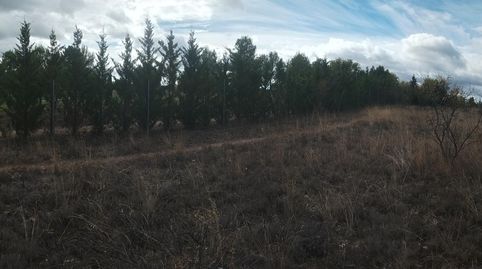 SE VENDE FINCA RÚSTICA PRÓXIMA AL CAMPO DE GOLF, imatge 4