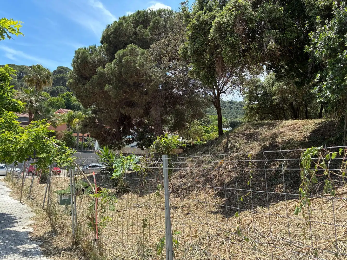 Terreny residencial en venda a Avinguda de Can Badrinas, imagen 10