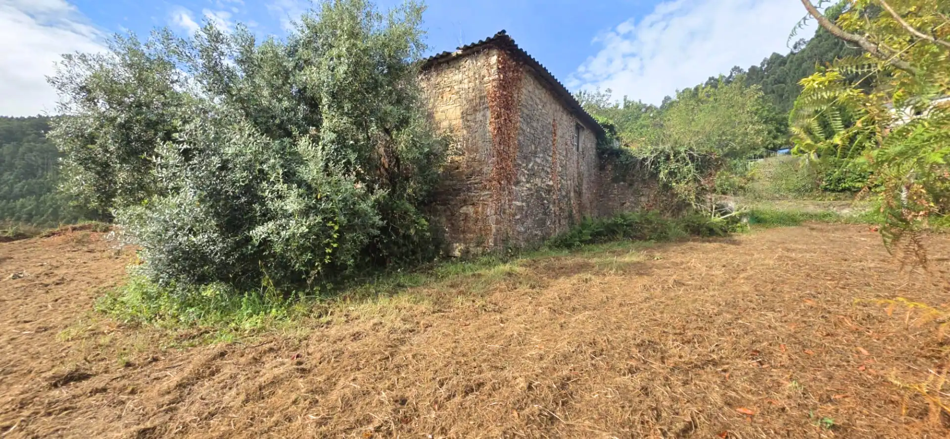 Finca rústica en venda en Valdoviño amb Jardí privat