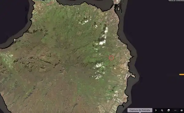 Rural land for sale in Calle Araucaria 13, imagen 3