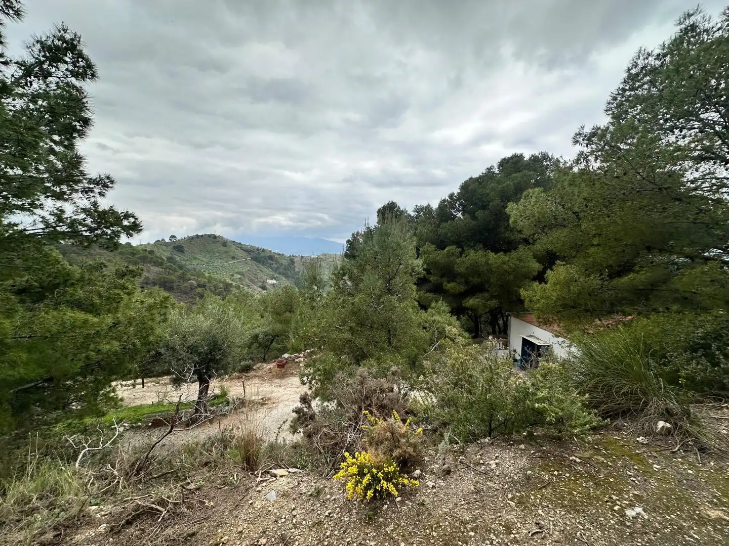 Finca rústica en venta en Alozaina con Alarma