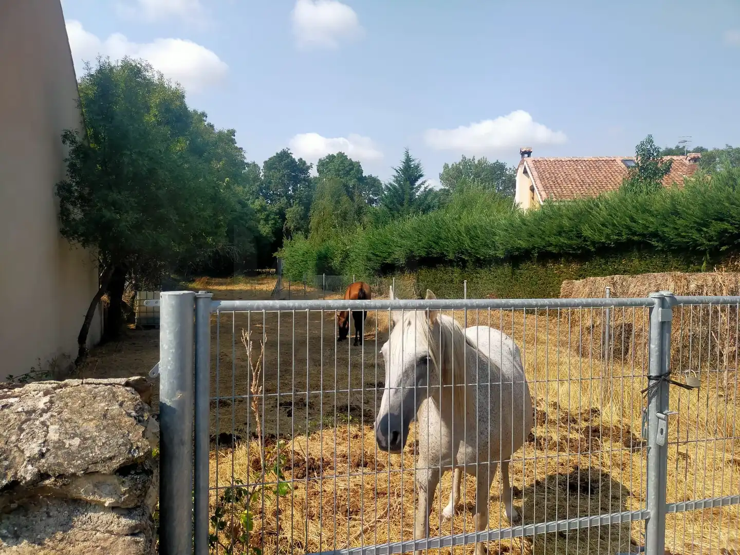 Terreni e lotti in vendita a Calle Caces 11