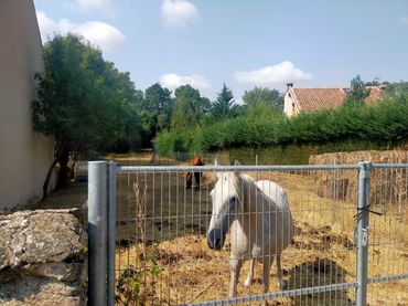 Terreno residenziale in vendita a Matabuena