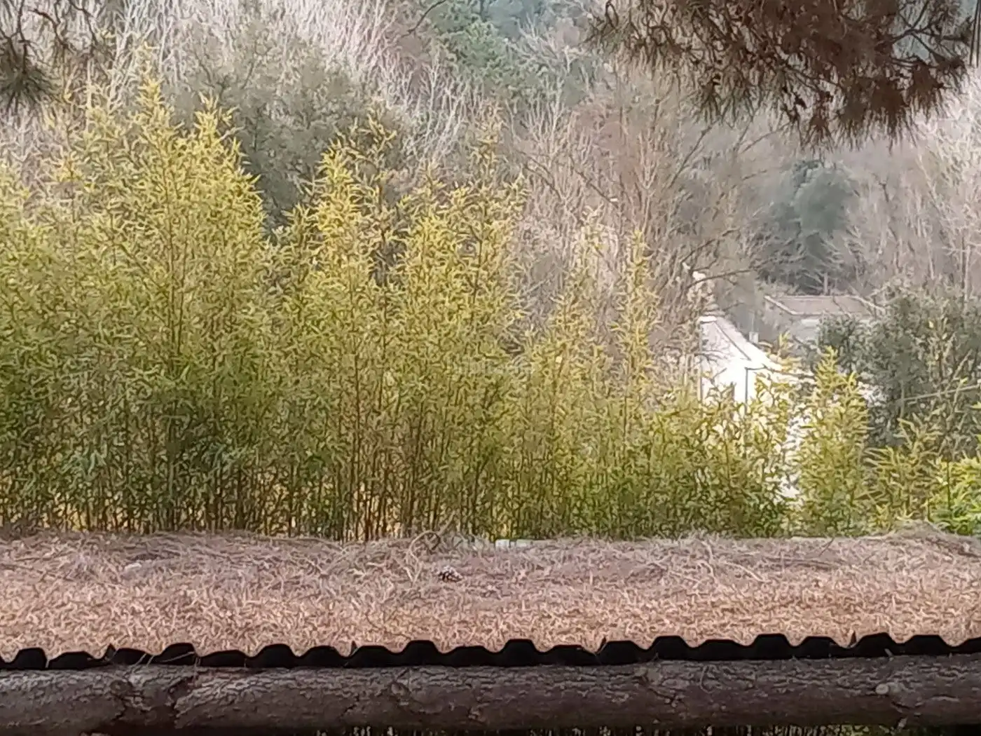 Xalet amb jardí en venda a Carrer Sant Marti 71, imagen 13