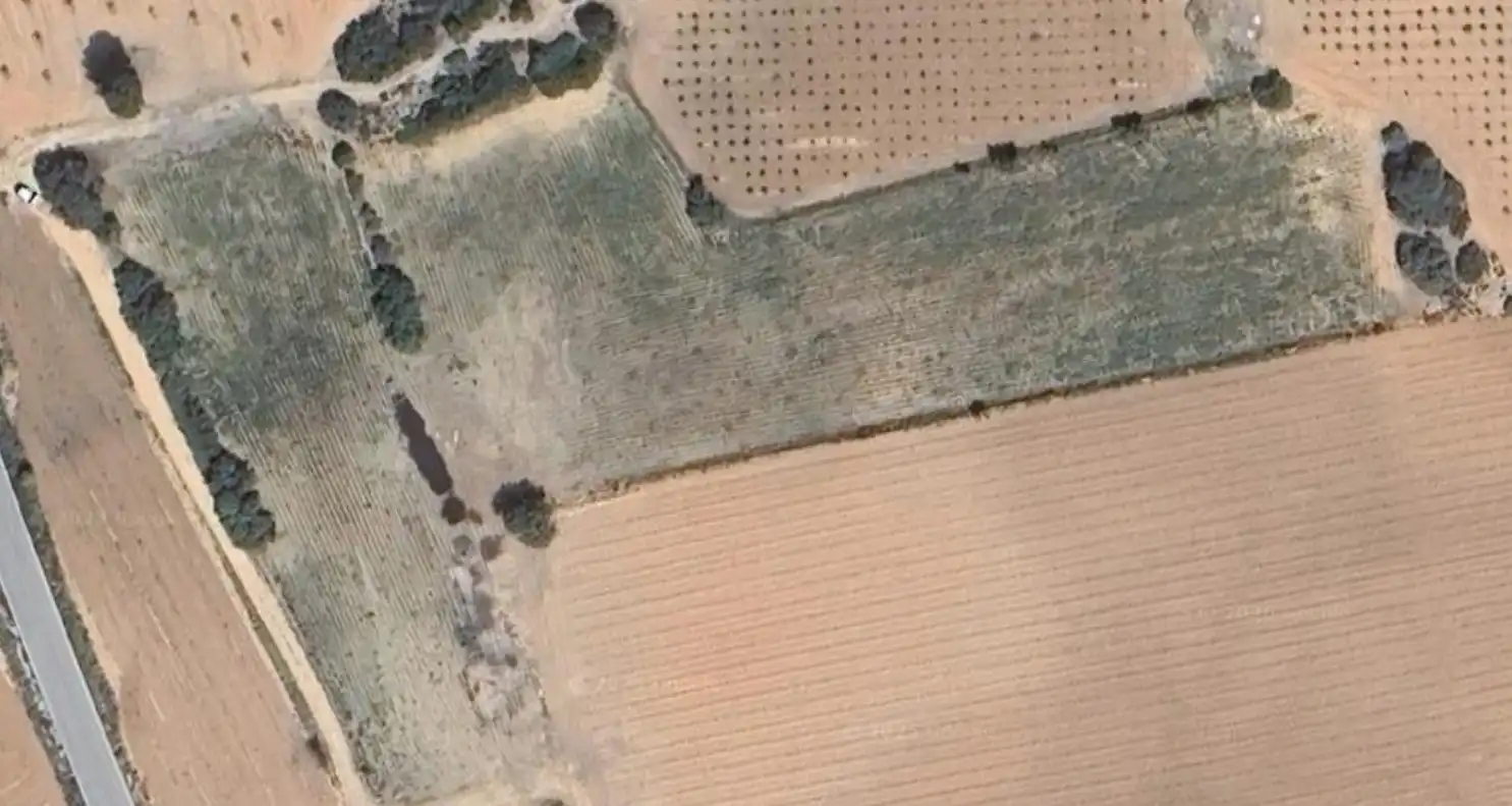 Terreny rústic en venda a Caudete de las Fuentes, imagen 6