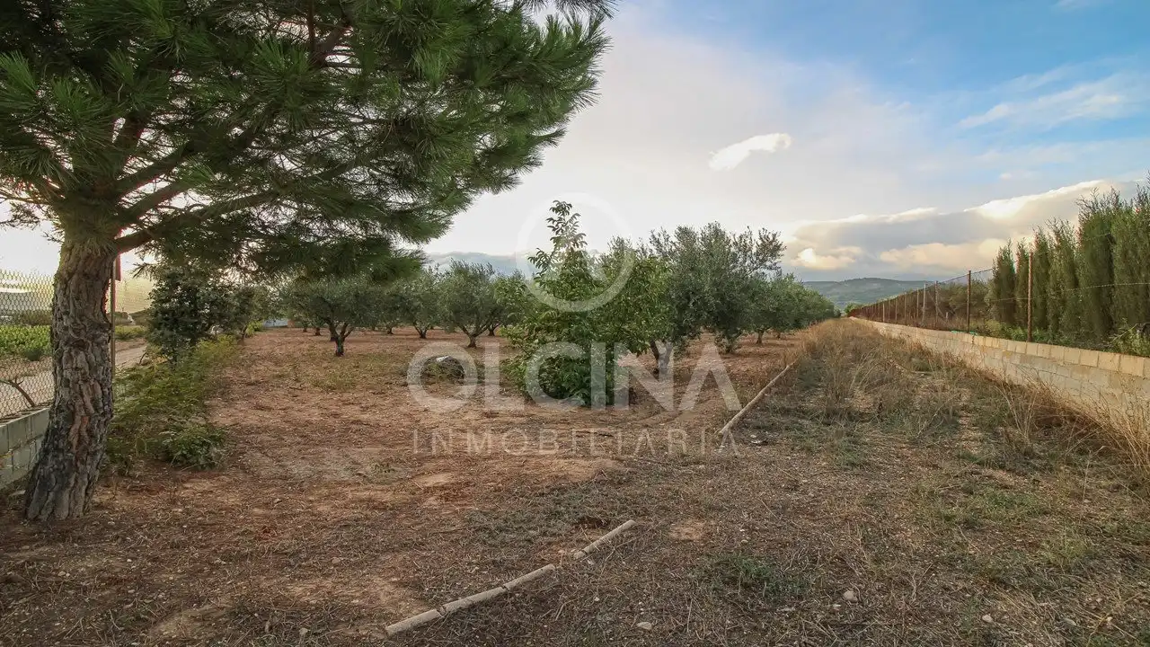 Terreny rústic en venda a Castalla, imagen 6