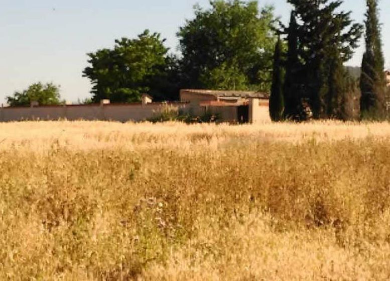 Casa o xalet en venda en Salinas