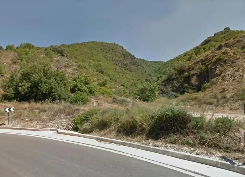 Terreno en venta en Carrícola