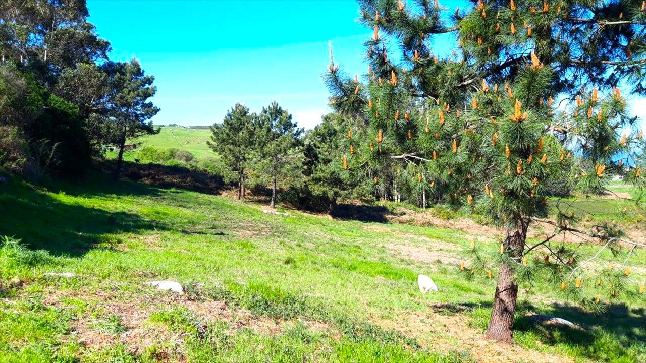 Residential for sale in PORTIÑO, Riazor - Visma