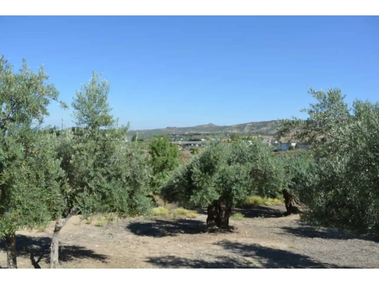 Lands and plots for sale in Plaza Iglesia 1, imagen 5