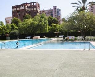 Swimming pool of Flat to rent in Alicante / Alacant  with Air Conditioner, Heating and Private garden