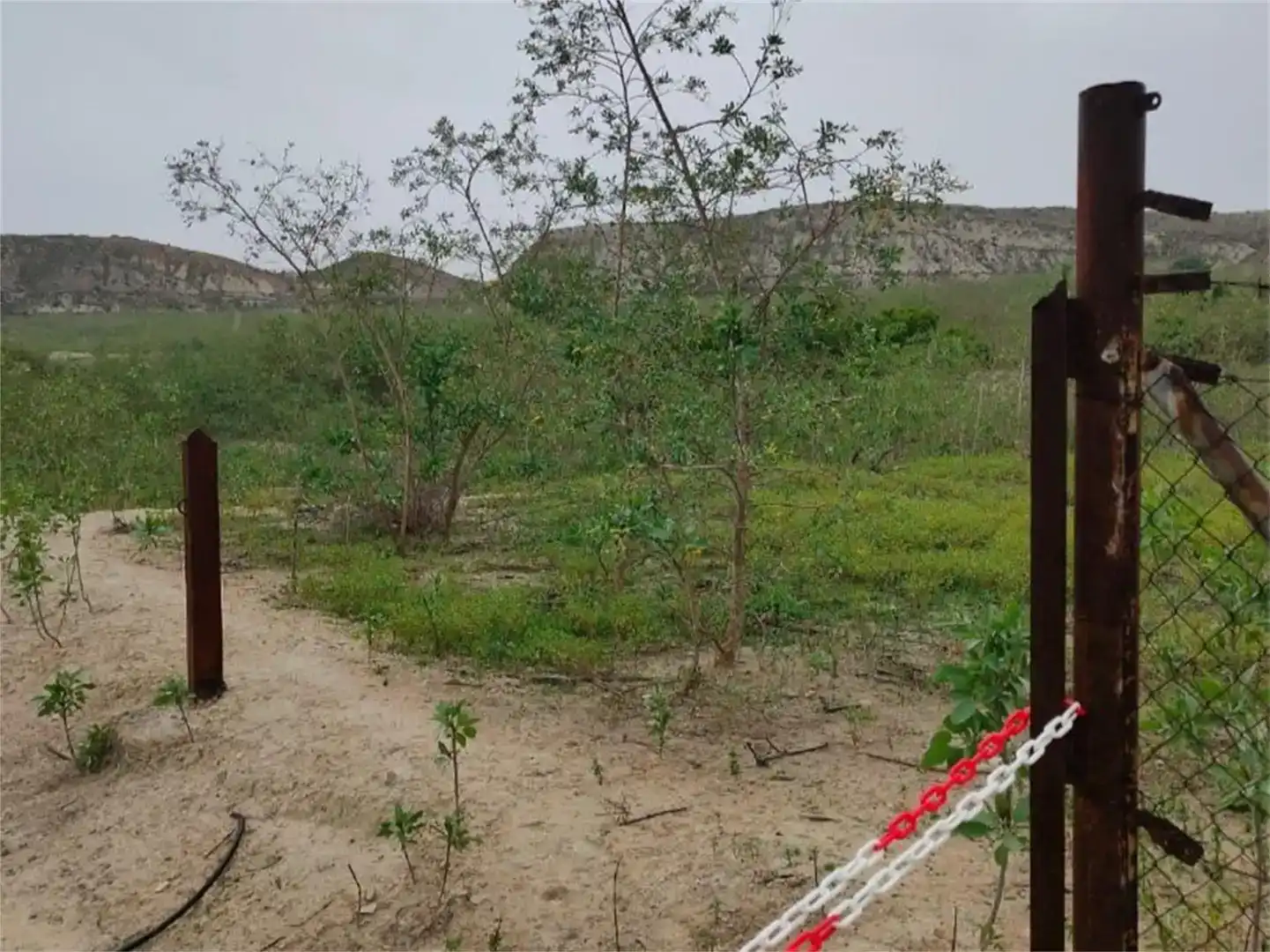 Finca rústica en venda en Ceutí
