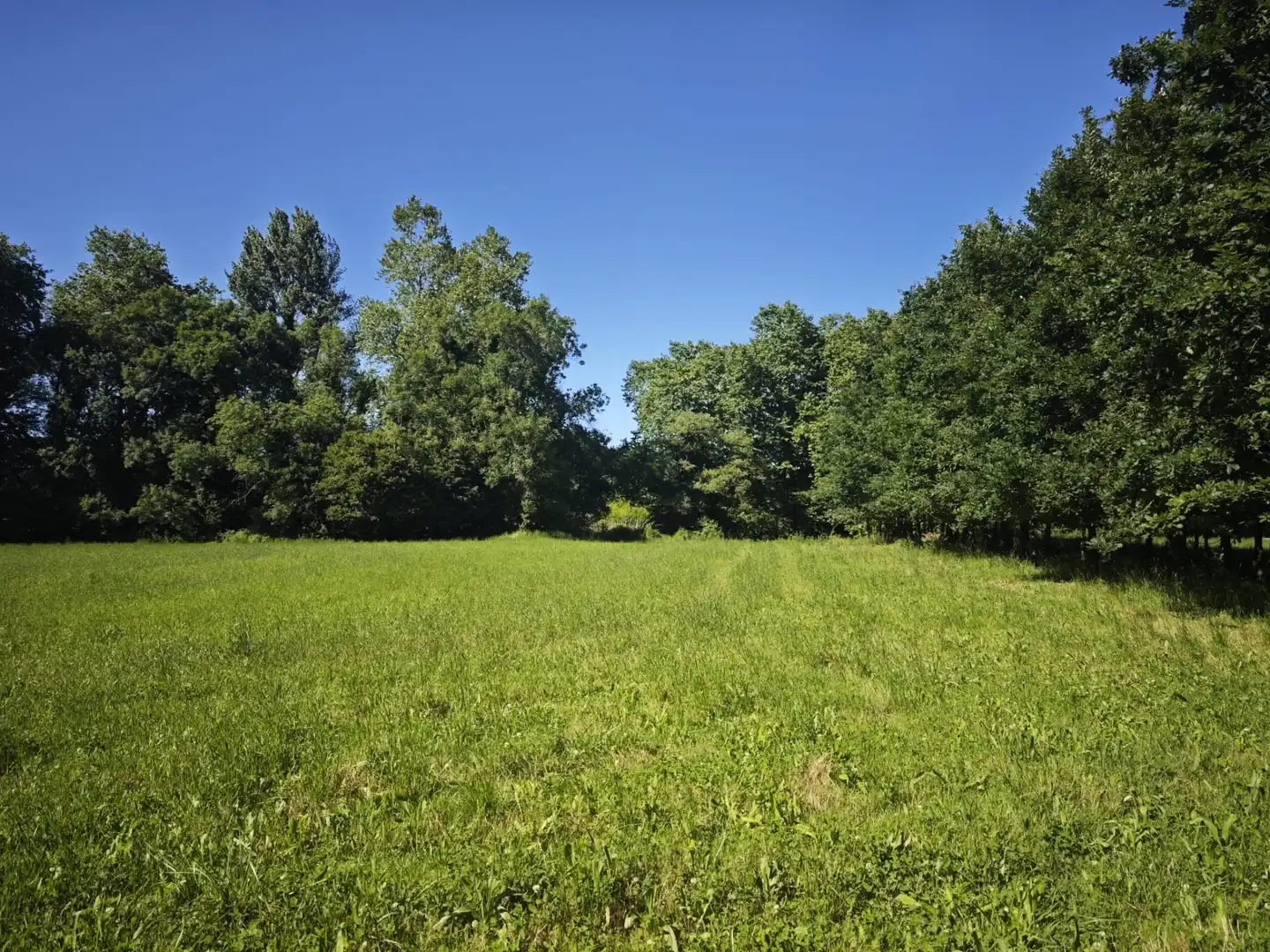 Terreno en venta en Piélagos
