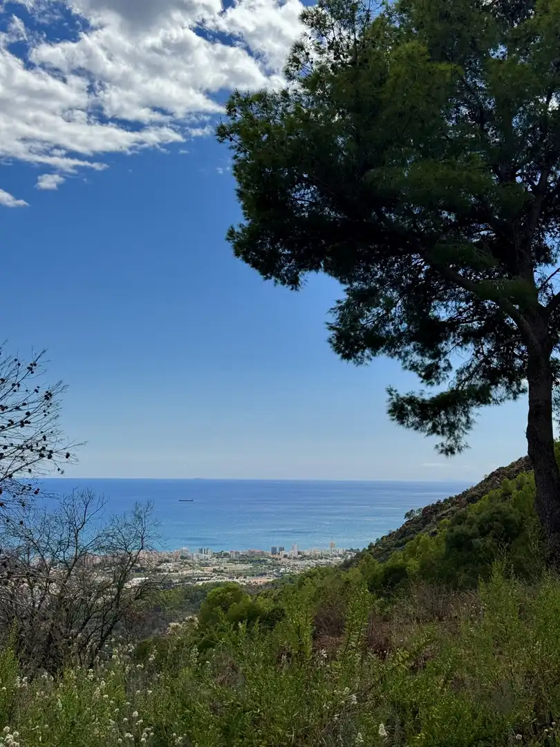 Vista exterior de Casa o chalet en venta en Benicasim / Benicàssim con Calefacción, Jardín privado y Terraza