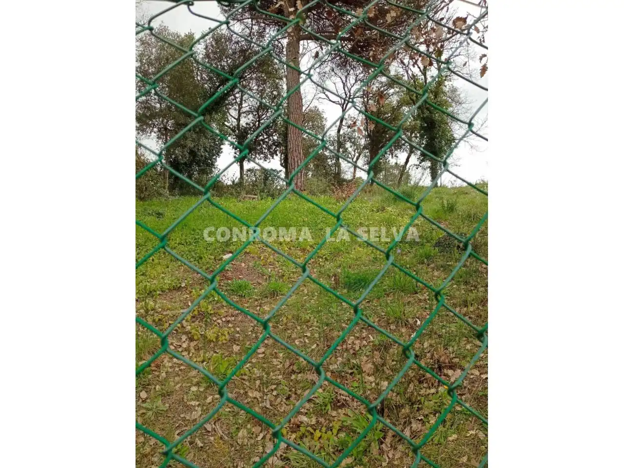 Wohnbaugrundstück zum Verkauf in Residencial Park, imagen 6