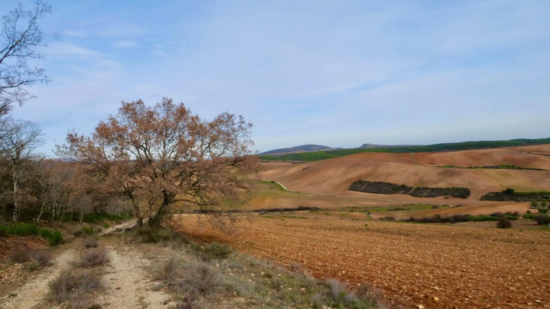 Exterior view of Land for sale in Arbancón