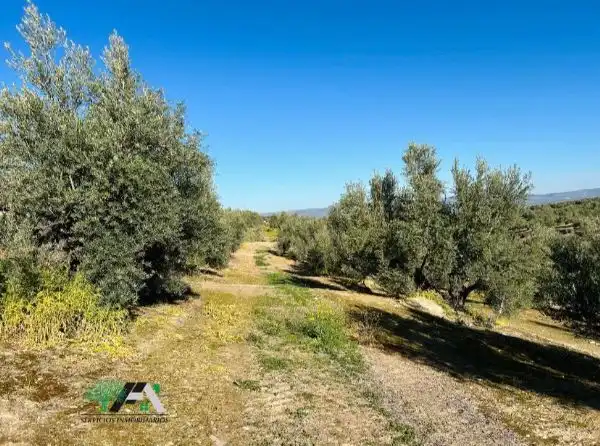 Terrenos y solares en venta en Úbeda, imagen 13