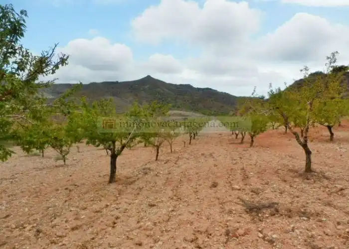 Rural land for sale in Pasaje Valdelentisco 25, imagen 5