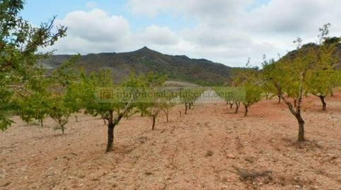 Photo 5 of Land for sale in Pasaje Valdelentisco, 25, Los Puertos, Cartagena