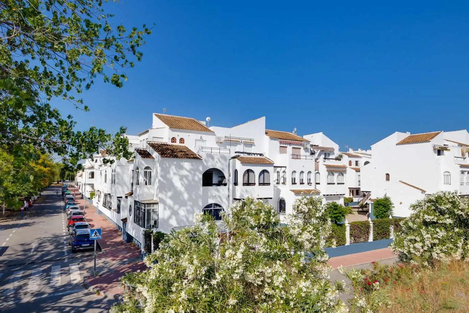 Exterior view of Apartments for sale in Torrevieja  with Terrace, Swimming Pool and Furnished