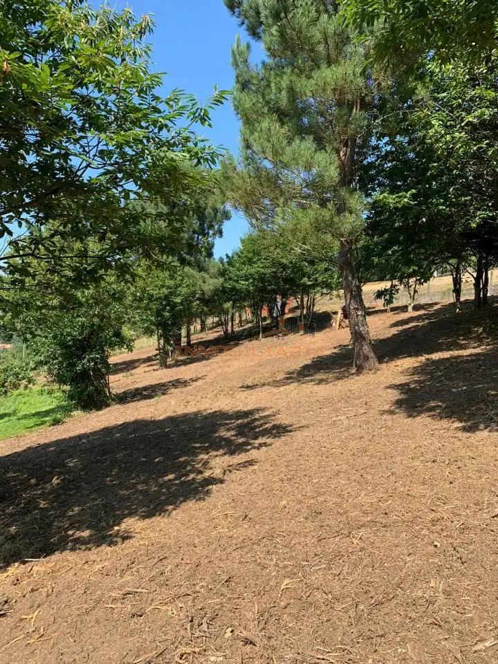 Terreno residencial en venta en Neda, imagen 5