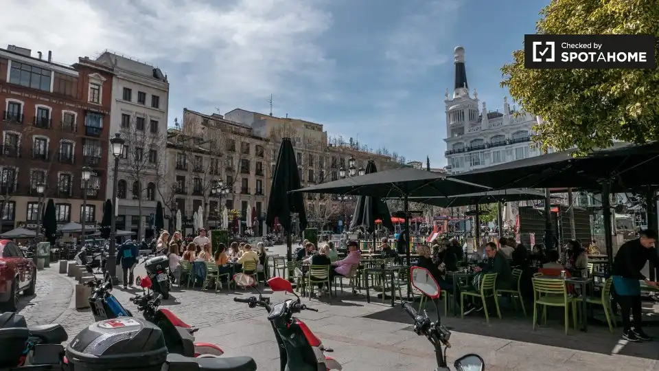 Appartamento con terrazza in affitto a Centro, imagen 16