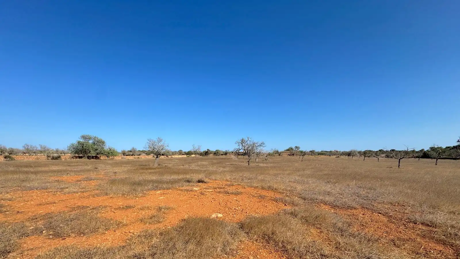Wohnbaugrundstück zum Verkauf in Ses Salines Poble, imagen 15