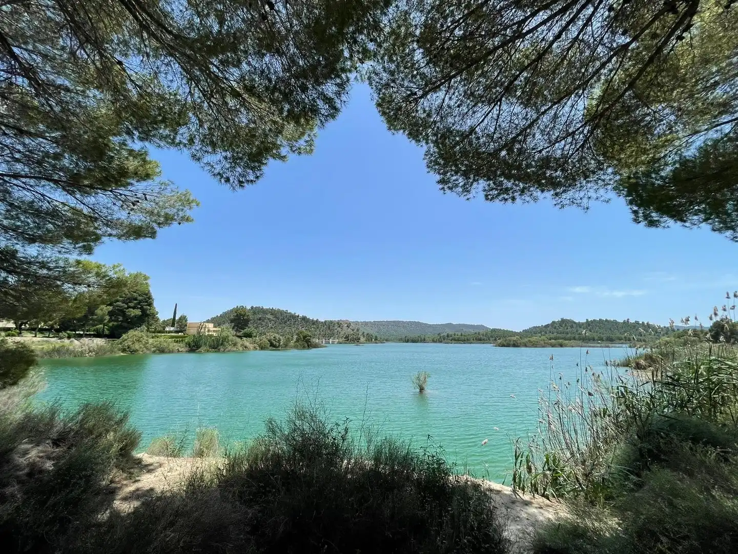 Maison à vendre à Calasparra, imagen 5